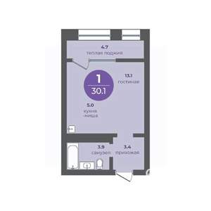 1-к квартира, вторичка, 30м2, 4/24 этаж
