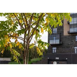 4-к квартира, вторичка, 85м2, 7/7 этаж