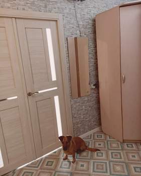 1-к квартира, вторичка, 41м2, 5/10 этаж