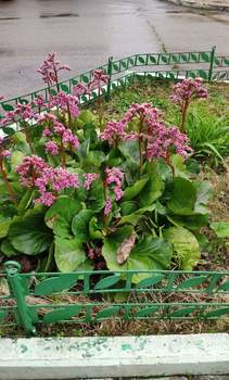 1-к квартира, вторичка, 47м2, 8/16 этаж