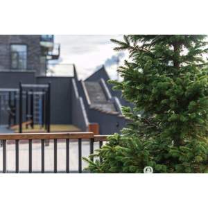 2-к квартира, вторичка, 60м2, 7/7 этаж