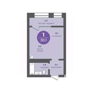 1-к квартира, вторичка, 30м2, 2/24 этаж