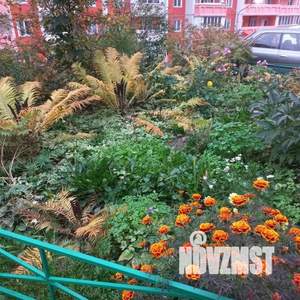 2-к квартира, вторичка, 49м2, 9/14 этаж