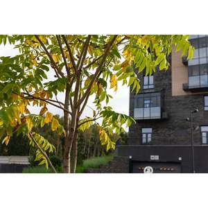 4-к квартира, строящийся дом, 85м2, 7/8 этаж